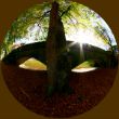 herbststeinerner steg.jpg