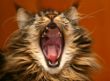 IMG_3881 Kopie 500x500.jpg